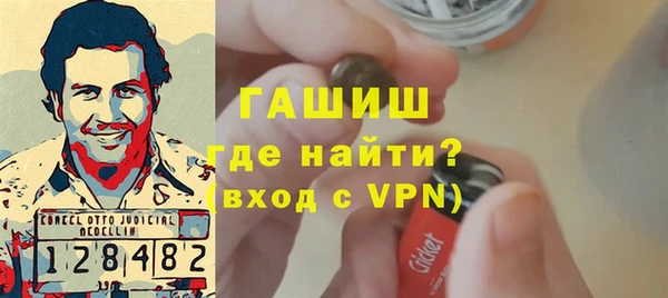гидра Каменногорск