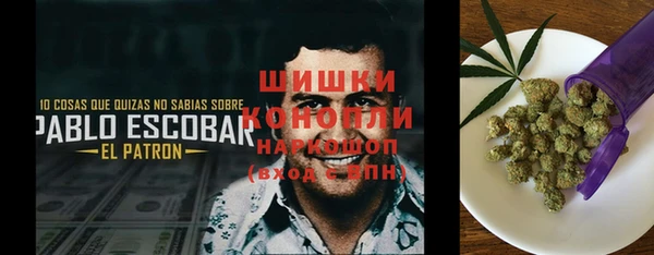 гидра Каменногорск