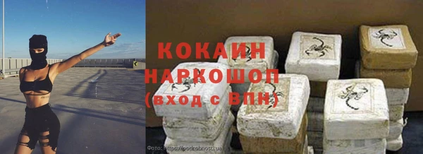 спайс Каменка