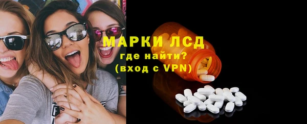 гидра Каменногорск