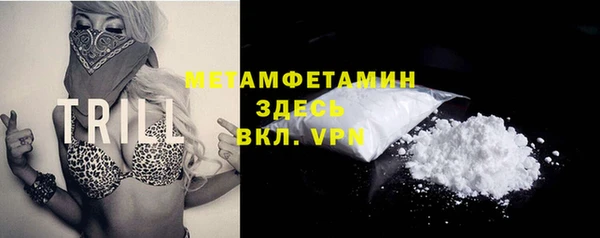 гидра Каменногорск
