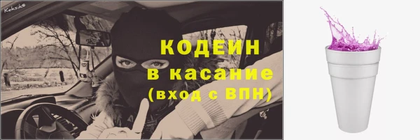 гидра Каменногорск