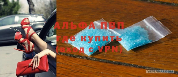 гидра Каменногорск